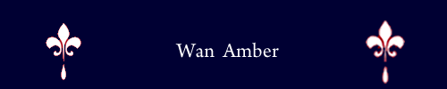 Amber Wan